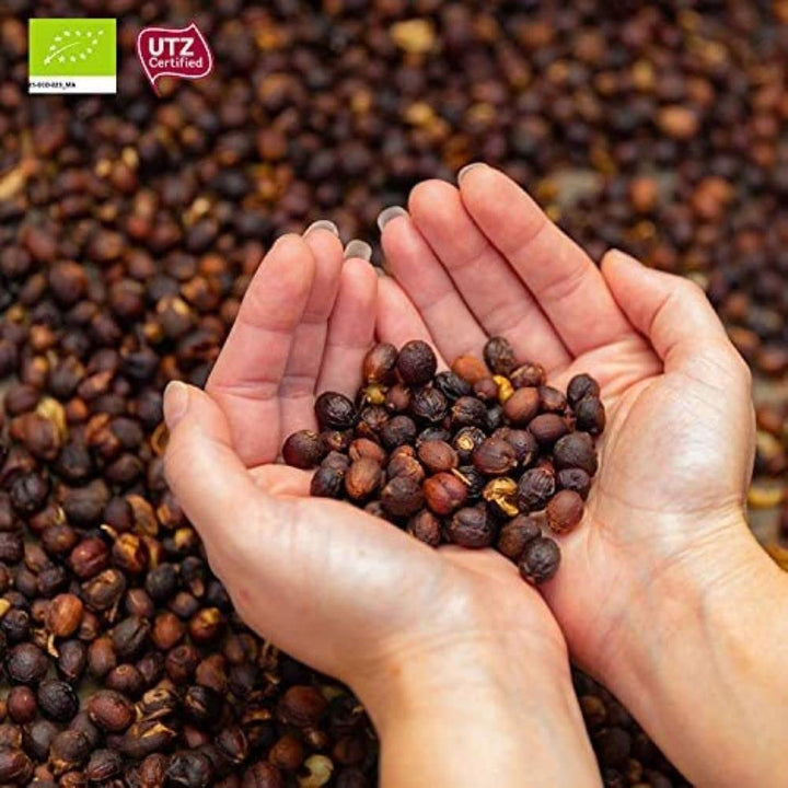 CAFES GUILIS DESDE 1928 AMANTES DEL CAFE - Cafea organică boabe Arabica Cafea Naty Shop