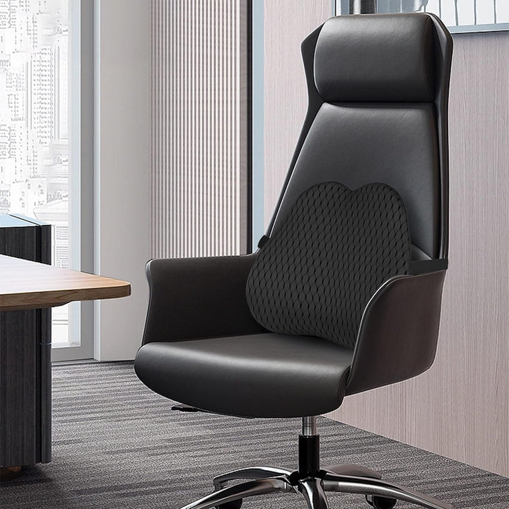 Livtribe Back Cushion, Memory Foam Lumbar Cushion Car, Ergonomic Lumbar Support Cushion pentru scaun de birou, scaun auto, scaun cu rotile (negru) Perne lombare Naty Shop