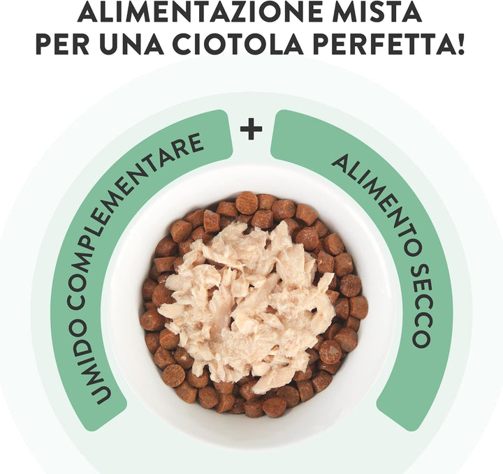 , Supă cu fileuri de ton cu morcovi și dovleac, hrană umedă complementară pentru pisici, rețeta originală, 100% naturală, 12 pungi la 40 G