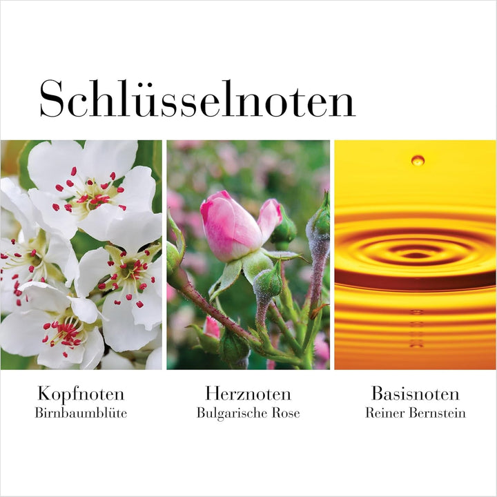 Elizabeth Arden White Tea Wild Rose – Apă de toaletă pentru femei, 50 ml, Parfum floral pentru femei cu o notă lemnoasă, Ingrediente selectate și design elegant, Parfum de zi cu zi