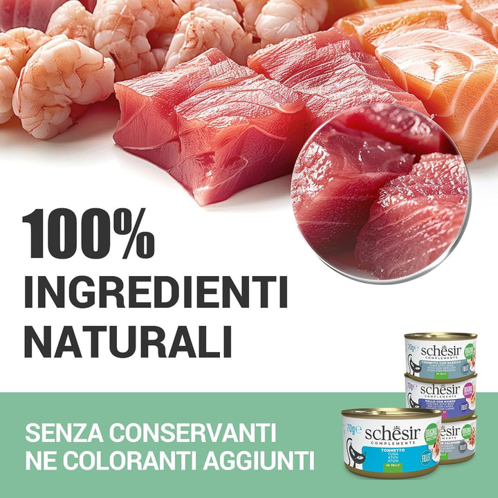 , Supă cu fileuri de ton cu morcovi și dovleac, hrană umedă complementară pentru pisici, rețeta originală, 100% naturală, 12 pungi la 40 G
