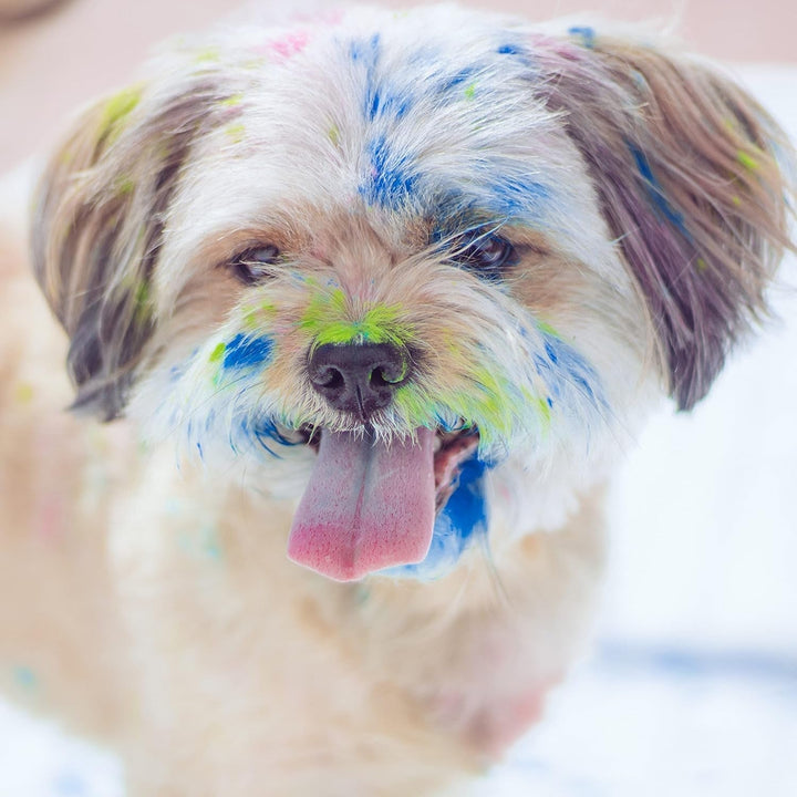 POLVO HOLI, 4 pungulite cu colorant alimentar, 100 grame per bucata, multiple aplicatii Coloranti Alimentari Naty Shop