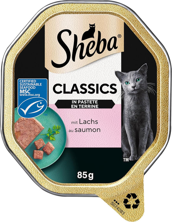 SHEBA Bowl Hrană umedă pentru pisici Clasici în pateu cu somon 2 X 11 X 85G