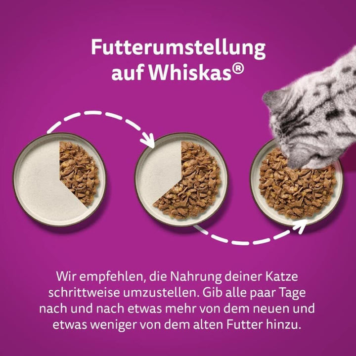Whiskas 1 + Cat Food Poultry Selection in Jelly, 12X85G (4 pachete) - Hrană umedă de înaltă calitate pentru pisici adulte în 48 de plicuri