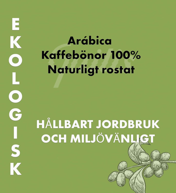 CAFES GUILIS DESDE 1928 AMANTES DEL CAFE - Cafea organică boabe Arabica Cafea Naty Shop