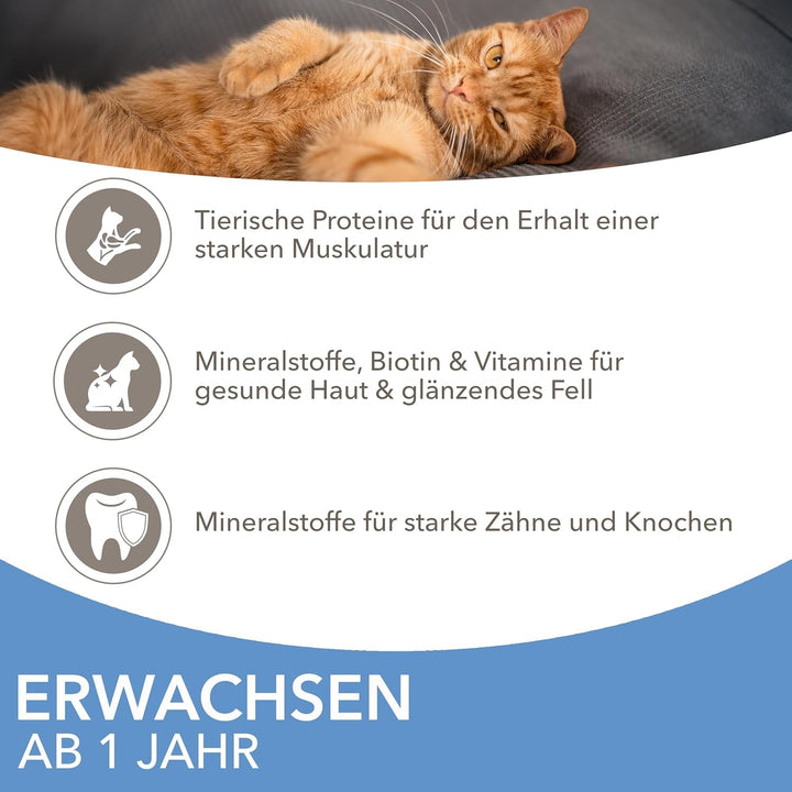 Hrană umedă pentru pisici IAMS Delights Sea Collection - Multipack cu sortimente de pește (somon, ton, macrou, pește de mare) în sos, hrană umedă pentru pisici de la 1 an în sus, 12 X 85G