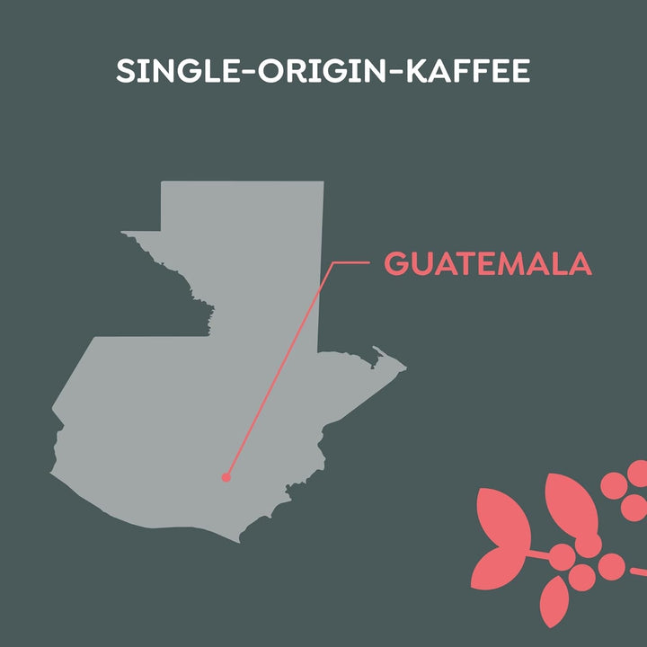 Melitta Manufaktur-Kaffee Guatemala Honey, cafea specială, 250G, boabe de cafea întregi, nemăcinate, cafea de origine unică, prăjire delicată cu tambur, prăjită în Germania, tărie 3 Cafea Naty Shop