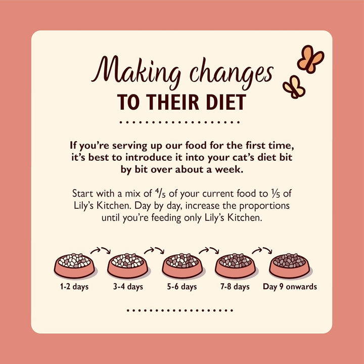 Lily'S Kitchen Whole Food Hrană umedă pentru pisici tinere 19 boluri (19 X 85G) Păsări