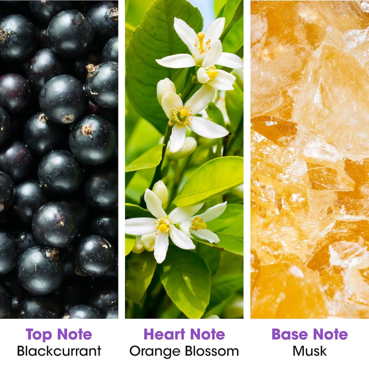 – Apă de parfum pentru femei „Amore Mio Forbidden Fruit” – Floral și proaspăt – Vanilie și paciuli – Fabricat în Grasse – Cadou pentru femei – Sticlă cu pulverizator 100 ml