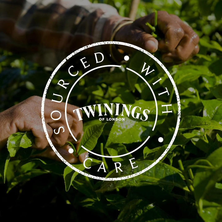 Twinings SWEET DREAMS Ceai de mușețel cu miere, portocale și flori de tei - Amestec dulce de ceaiuri din plante pentru îmbunătățirea naturală a calității somnului, pachet de 12 (10 pliculețe fiecare)