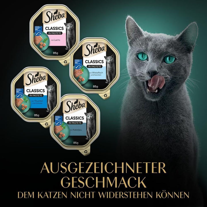 Sheba Classics in Pâté- Cea mai fină hrană umedă pentru pisici în bol - Fish Variation (MSC) cu somon, pește alb, ton și cod - 32 X 85G