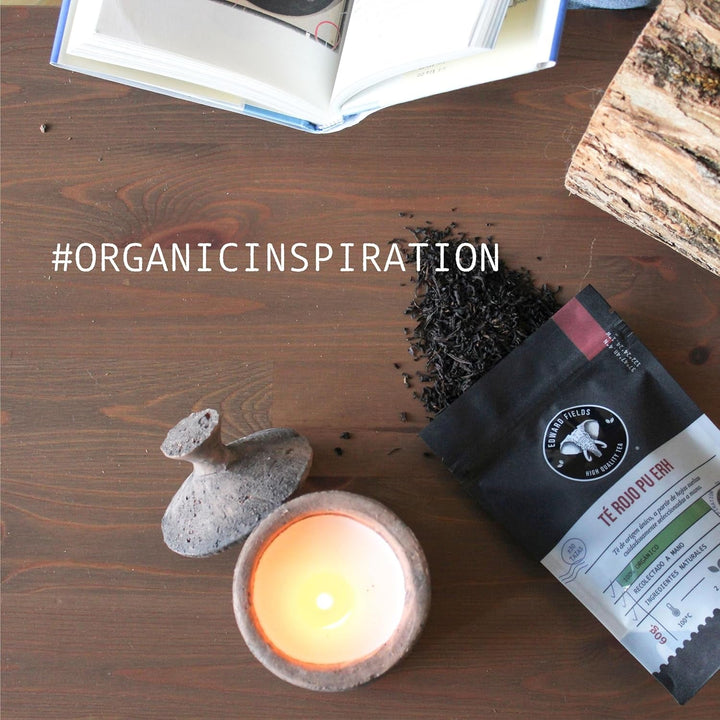 Edward Fields Tea ® - Ceai negru chai organic vrac. Ceai negru chai latte organic cules manual cu ingrediente și arome naturale și organice, 100 g, India. (Chai negru)