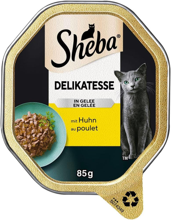 Sheba Bowl Hrană umedă pentru pisici Delicacy în jeleu cu pui 2 X 11 X 85G