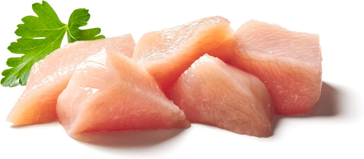 KITTY Cat Paté Chicken, 6 X 200 G, hrană umedă pentru pisici, hrană fără cereale pentru pisici cu taurină, ulei de somon și midii cu buze verzi, hrană completă cu conținut ridicat de carne, fabricată în Germania