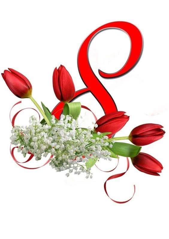 Imagine comestibila, vafa, format A4, Diverse Imagini comestibile Nati Shop