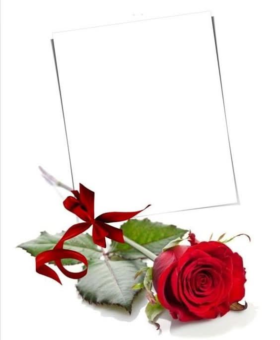 Imagine comestibila, vafa sau icing, format A4, Flori Imagini comestibile Nati Shop
